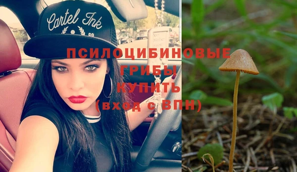 молекула духа Корсаков