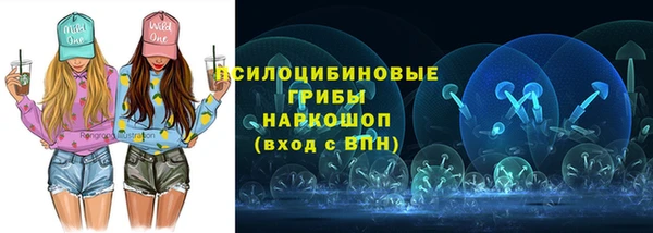 spice Костерёво